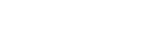 Norvex Global logo